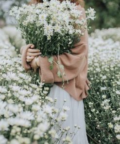 Thường xuyên kiểm tra cây để có kế hoạch chăm sóc phù hợp