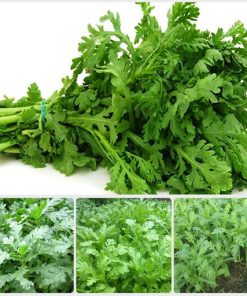 Rau tần ô mang đến một bữa cơm đa dạng