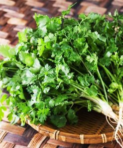 Cây rau ngò với nhiều công dụng có ích cho sức khỏe