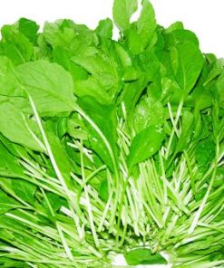 Cải trắng ăn non có thể chế biến thành nhiều món ăn