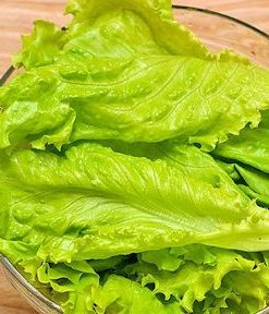Hạt giống rau xà lách đảm bảo tỷ lệ nảy mầm cao