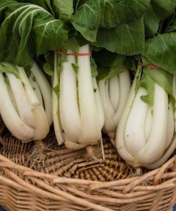 Cải nhật gốc trắng lá xanh