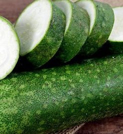 Bí đao xanh trái dài, to