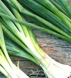 Hành lá có thể chế biến thành món ăn hấp dẫn