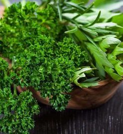 Lá ngò tây rất xoăn, có mùi thơm dễ chịu