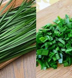 Hẹ tây lá to, khỏe và phát triển tốt