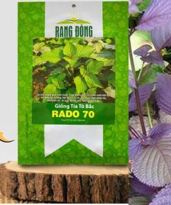Hạt giống Tía Tô Bắc Rado 70 chất lượng
